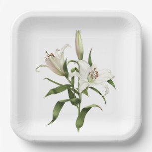 Borden van white Oriental Lily Botanical Art Paper Papieren Bordje