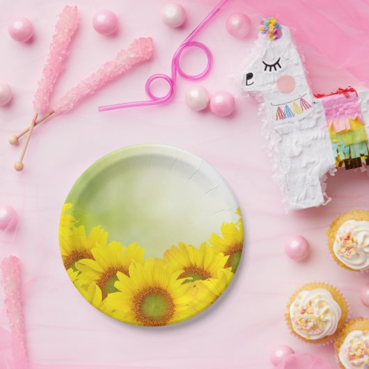Borden van zonnebloempitten papieren bordje (Feest)