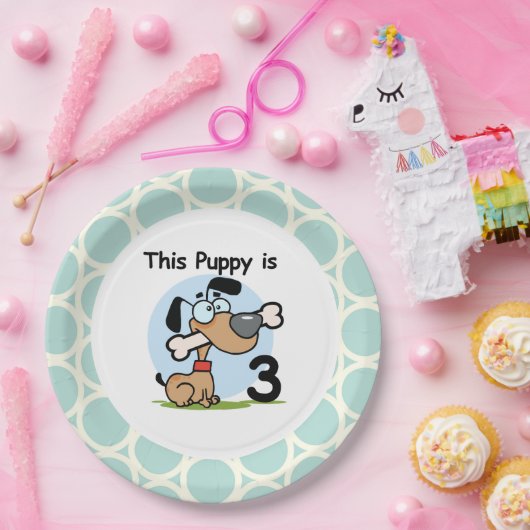 Borden voor 3e verjaardag papier papieren bordje (Feest)