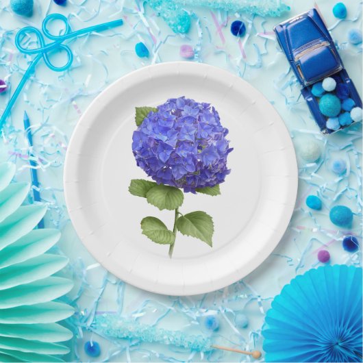 Borden voor blauw brandkranen papieren bordje (Feest)