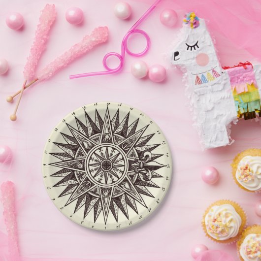 Borden voor compact Roos Papieren Bordje (Feest)