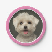 Borden voor crèmeroze foto op zaterdag papieren bordje (Voorkant)