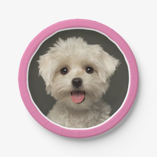 Borden voor crèmeroze foto op zaterdag papieren bordje (Voorkant)