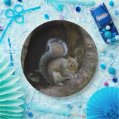 Borden voor eekhoornpapier papieren bordje (Feest)