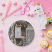 Borden voor eekhoornpapier papieren bordje (Feest)