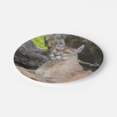 Borden voor Florida Panther Paper Papieren Bordje (Gekanteld)