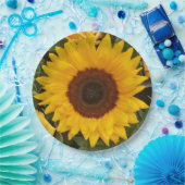 Borden voor fotografie van zonnebloempitten papieren bordje (Feest)