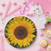 Borden voor fotografie van zonnebloempitten papieren bordje (Feest)