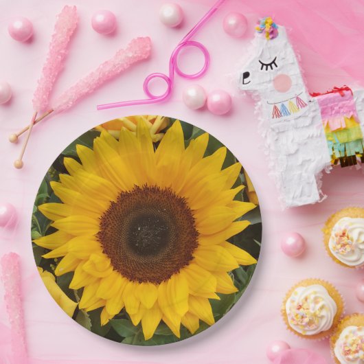 Borden voor fotografie van zonnebloempitten papieren bordje (Feest)