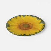 Borden voor gouden zonnebloempitten papieren bordje (Gekanteld)