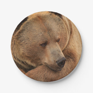 Borden voor grizzly Beer Papieren Bordje