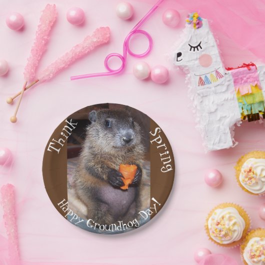 Borden voor grondhog-dagpapier papieren bordje (Feest)