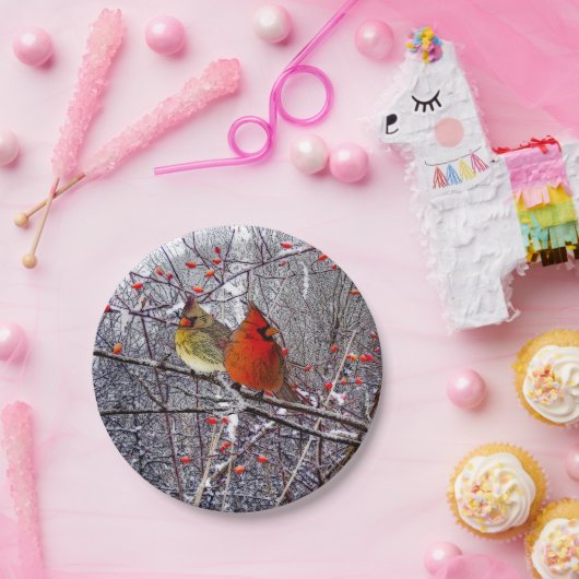 Borden voor kardinaal kerstpapier papieren bordje (Feest)