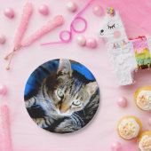 Borden voor katappapier papieren bordje (Feest)