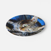 Borden voor katappapier papieren bordje (Gekanteld)