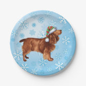 Borden voor kerstvioolpapier papieren bordje (Voorkant)