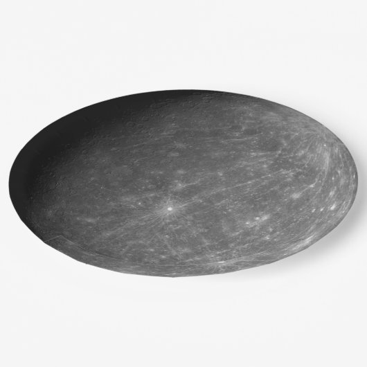 Borden voor kwikbolletjes, wegwerpbaar papier papieren bordje (Gekanteld)