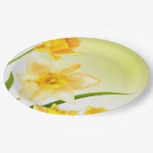 Borden voor lentedafodil paaspapier papieren bordje (Gekanteld)