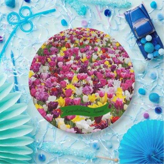 Borden voor multikleurentapijten papieren bordje (Feest)