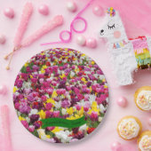 Borden voor multikleurentapijten papieren bordje (Feest)