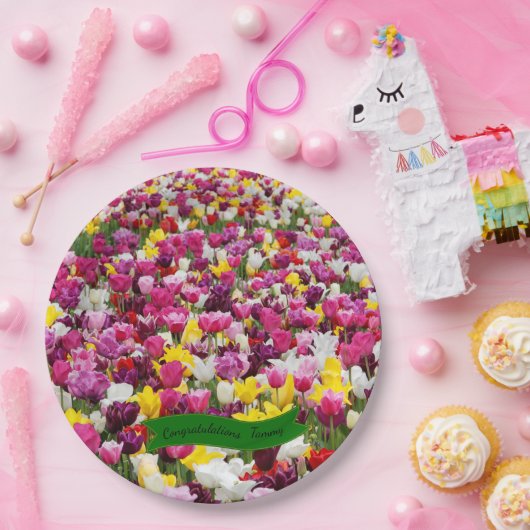 Borden voor multikleurentapijten papieren bordje (Feest)