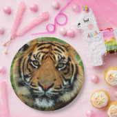 Borden voor tijdenpapier papieren bordje (Feest)