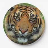 Borden voor tijdenpapier papieren bordje (Voorkant)