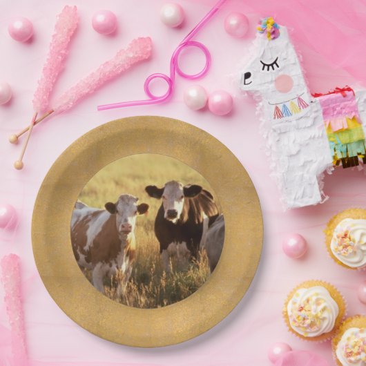 Borden voor veepapier papieren bordje (Feest)