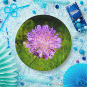 Borden voor veldeffectpapier papieren bordje (Feest)