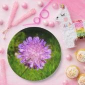 Borden voor veldeffectpapier papieren bordje (Feest)