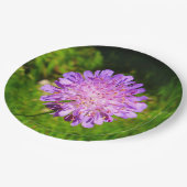 Borden voor veldeffectpapier papieren bordje (Gekanteld)