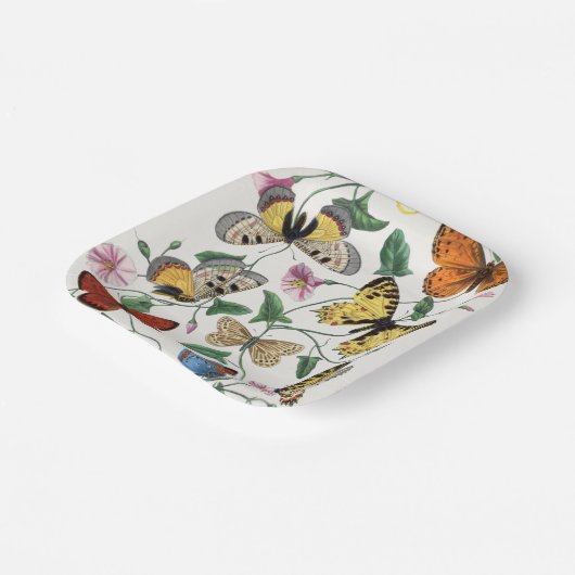 Borden voor  vlinder- en motdepapier papieren bordje (Gebogen)