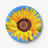 Borden voor zonnebloempapier papieren bordje (Voorkant)