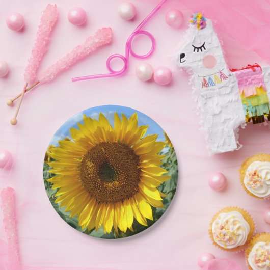 Borden voor zonnebloempapier papieren bordje (Feest)