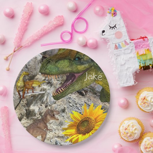 Borden voor zonnebloempitten papieren bordje (Feest)