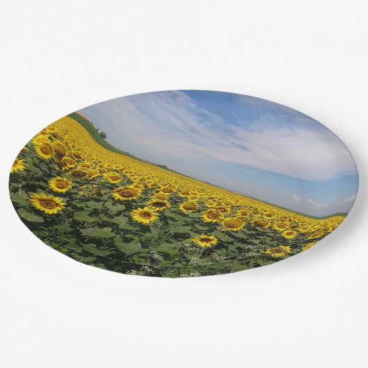 Borden voor zonnebloemveldpapier papieren bordje (Gekanteld)