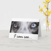 Border-Aussie Verjaardag Kaart (Gele Bloem)