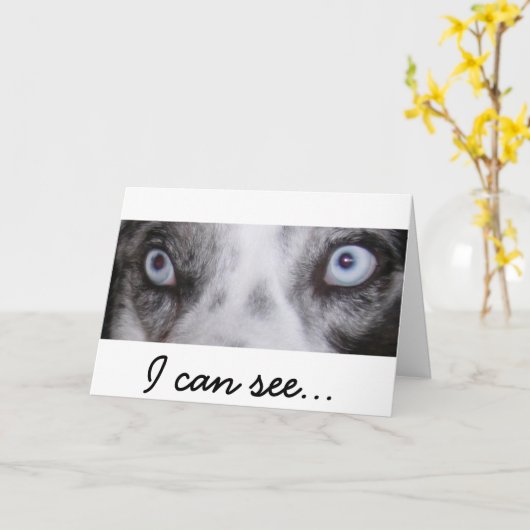 Border-Aussie Verjaardag Kaart (Gele Bloem)