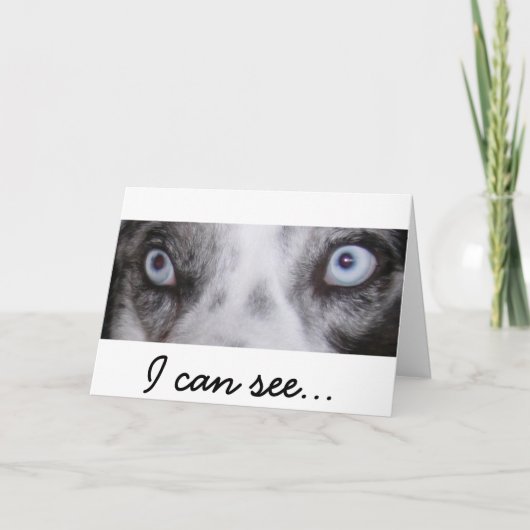 Border-Aussie Verjaardag Kaart (Voorkant)