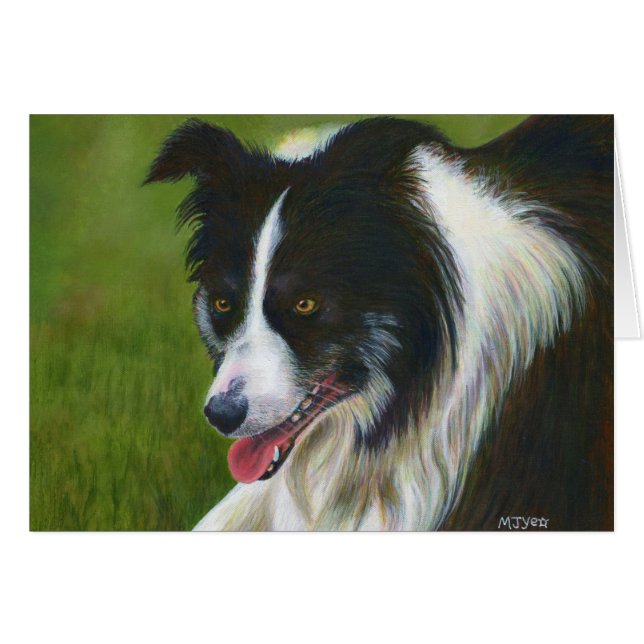 Border Collie (Voorkant Horizontaal)