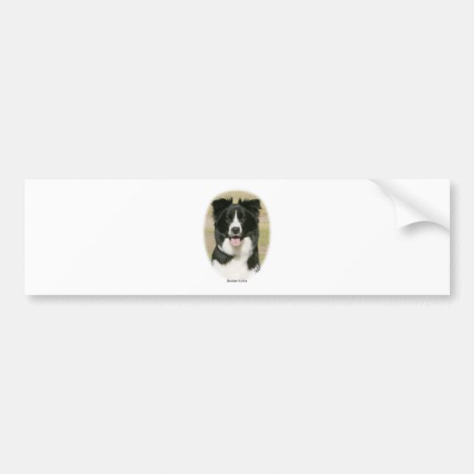 Border Collie 9Y411D-009 Bumpersticker (Voorkant)