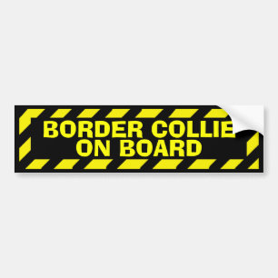Border Collie aan boord van de gele sticker