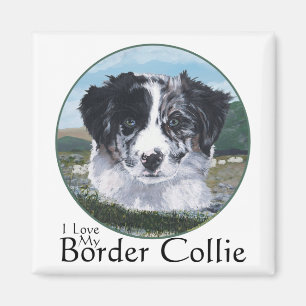 Border Collie aan het werk Magneet