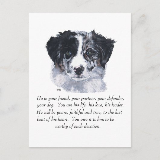 Border Collie Aandenken Briefkaart (Voorkant)