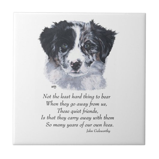 Border Collie Aandenken Tegeltje (Voorkant)