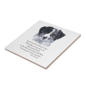 Border Collie Aandenken Tegeltje (Zijkant)