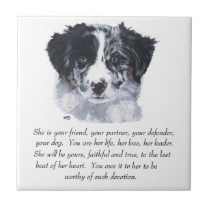 Border Collie Aandenken Tegeltje