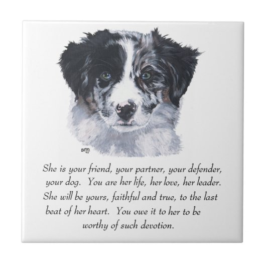 Border Collie Aandenken Tegeltje (Voorkant)