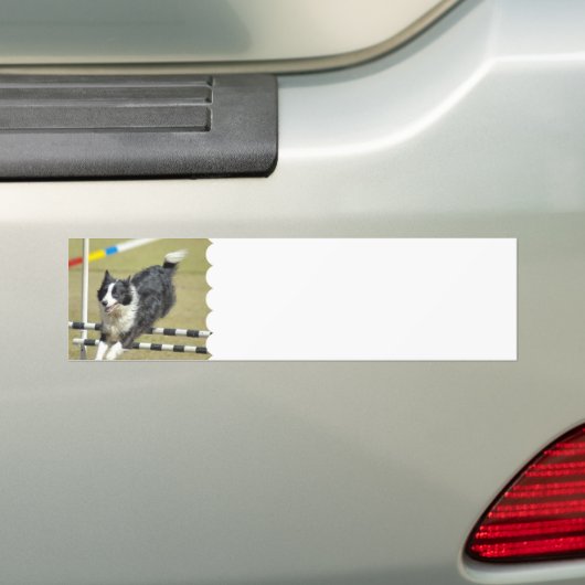 Border Collie Agility Bumpersticker (Op auto)