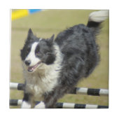 Border Collie Agility Tile Tegeltje (Voorkant)